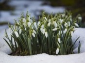 Что можно и нельзя делать 19 марта