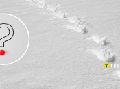 Містична істота з’явилася в Росії