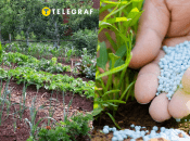 Що не варто робити на городі навесні