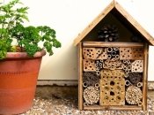 Дети и наука: что такое домик для насекомых, и как его сделать своими руками