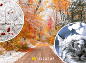 Снег осенью