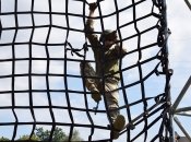 Украинские военные