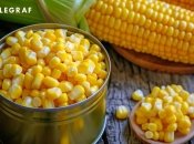 Не всі консерви однаково якісні і смачні (фото створене з допомогою ШІ)