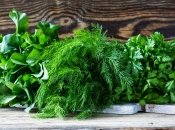 Зелень можно хранить несколькими способами