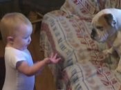 ВИДЕОпозитив: малыш решил серьезно поговорить с собакой