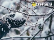 Рукавички - це невід'ємний атрибут зимового одягу (фото створене з допомогою ШІ)