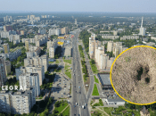 Рогатый мог потерять ориентацию