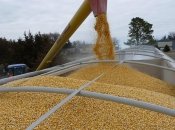 Украинское зерно