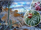 Заморозки в Україні