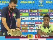 Обидел кота - плати миллион! Бразилию накажут за поведение на ЧМ-2022