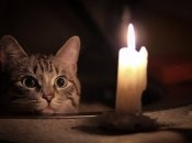 Отключения света могут скоро вернуться: украинцев призвали быть готовыми