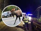 ДТП на Рівненщині