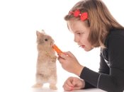 Веселые потешки о животных: как мышка хлеб искала