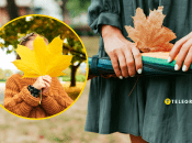 Осень уже дает о себе знать первой желтой листвой