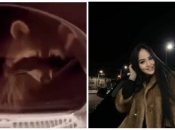 Засунула в стиралку и включила: в Ивано-Франковске студентка жестоко поиздевалась над енотом (видео)