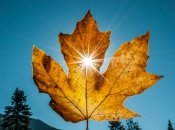 Этот тест подскажет, чего стоит ожидать в начале ноября