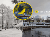 Погода в Полтавской области