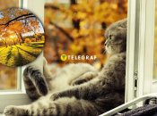 Прогноз на ноябрь 2025 радует