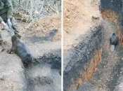 Фото с видео