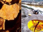 Getty Images; коллаж - Телеграф