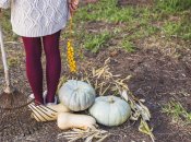 Работа на огороде не прекращается с приходом осени