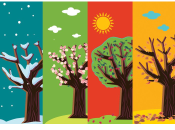 Вірші про пори року та місяці