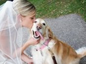 Новая свадебная традиция: корм для собак вместо букетов