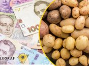 Цены на один из самых востребованных продуктов в этом году