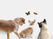 Дізнайтесь про себе більше