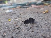 Ночная атака на Киев не прошла без разрушений: "Телеграф" показал последствия (фото)