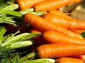 Добірка добрив для моркви на липень