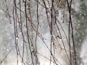 Дощ у березні