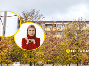 Восени комахи шукають зимівлю в наших домах