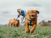 Фото: pixabay.com