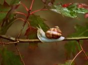 Погода в мае