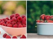 Сколько стоит малина и клубника в Украине