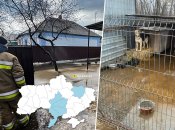 Затоплені домогосподарства