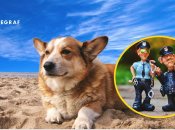 Курйоз із собакою та поліцейськими