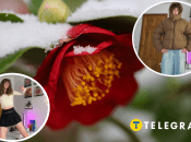 Українці влаштували мем-марафон через різке похолодання. Зібрали найкраще