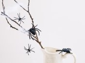 Паукам в доме не место