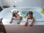 Как выбрать собаку для ребенка: средние и крупные породы