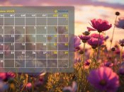 Что будут отмечать украинцы в июне 2025