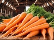 Морковь требует правильной подкормки (изображение создано с помощью ИИ)