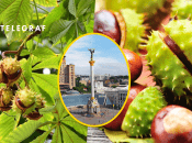 Візуальний символ столиці України