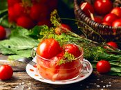 Вкусные квашеные помидоры – находка в сезон морозов