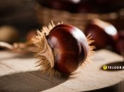 Популярні осінні плоди