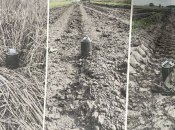 Протитанкова міна АТ2