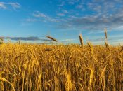 Какие праздники отмечаются 3 июля