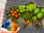 Кавуни з центру не дотягують до Херсонських, а цибуля на заході потерпає від вологості. Фото Колаж "Телеграфа"