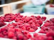 Малины будет в два раза больше